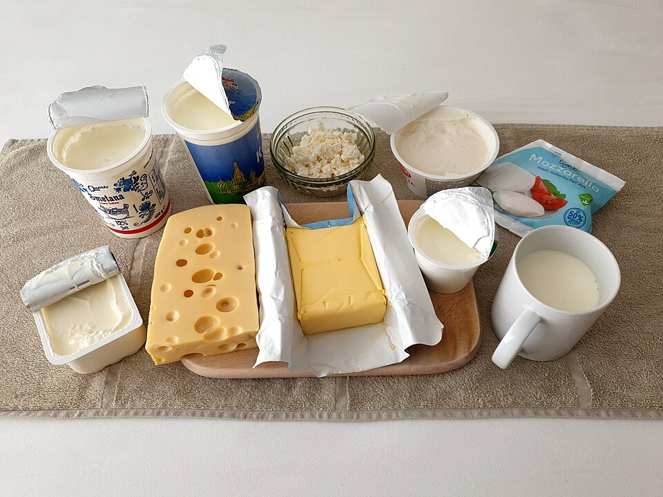 Milk, yogurt, cheese and other dairy products