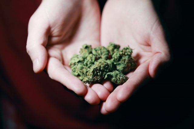 kush in close up